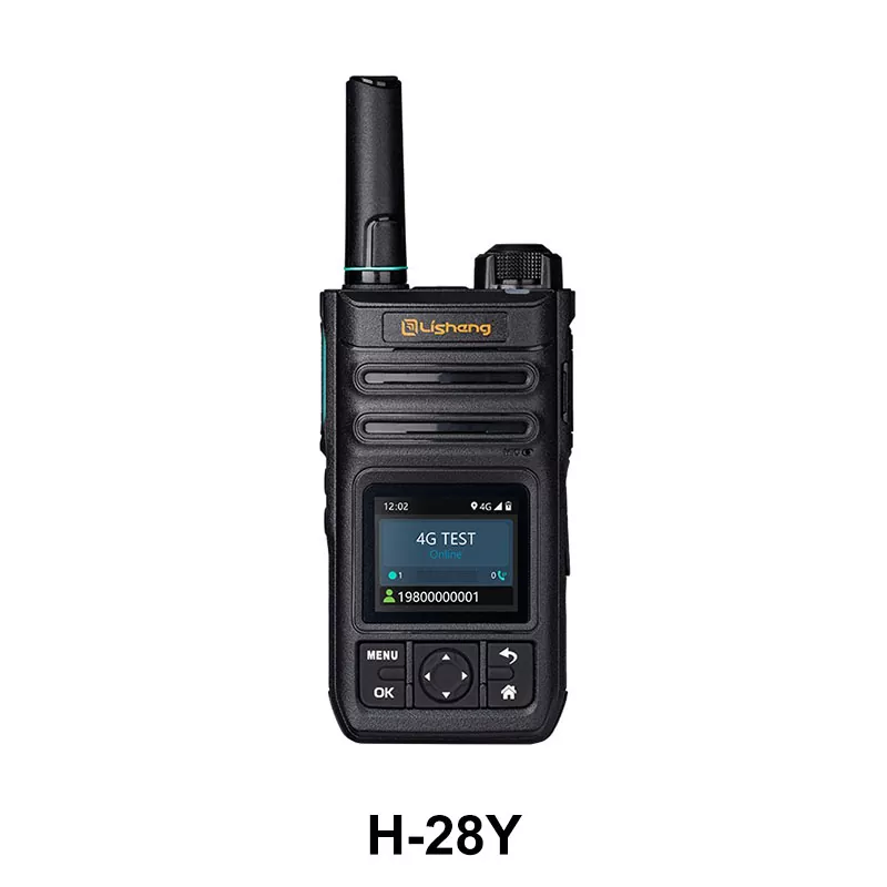 Radio over internettprotokoll